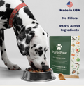 Dog Constantly Itching or Licking Paws? This All-in-One Powder Soothes Skin Issues, Allergies, Joint Issues & Gut Health Fast!